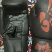 دستکش بوکس|تجهیزات ورزشی|تایباد, |دیوار