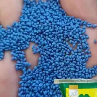 بذر علوفه ای یونجه پایه بلند