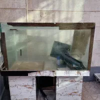 آکواریوم|ماهی|اندیشه, اندیشه فاز ۳|دیوار