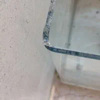 آکواریوم|ماهی|قزوین, |دیوار