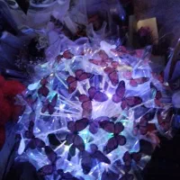 گل ربانی و گل پروانه ی|گل مصنوعی|بندر ماهشهر, |دیوار