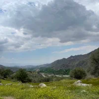 فروش زمین دلفارد|فروش زمین و ملک کلنگی|درب بهشت, |دیوار