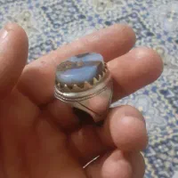 انگشتر شجر دریای مصور