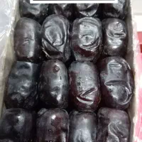 فروش انواع خرما بم  خرده و عمده کشاوز|عمده‌فروشی|بم, |دیوار