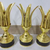 جام-پاکش پسرانه