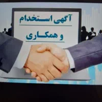 استخدام حسابدار باسابقه دار (مسلط به هلو )