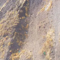 یک باغ به مساحت 0.75 کیلومتر|فروش زمین و ملک کلنگی|نورآباد, |دیوار