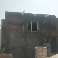 سیمان کاری .سنگ تاوه .موزائیک. جدول|خدمات پیشه و مهارت|گلبهار, نوبهار|دیوار