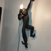 شب خاب کلکسیونی رخ میمون