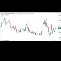 استراتژی ۱۰۰ درصد (باینری، فارکس)