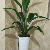 درختچه مصنوعی پرنده بهشتی