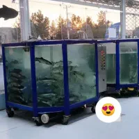 صید ماهیگیری تو نیشابور|ماهی|نیشابور, مازول|دیوار