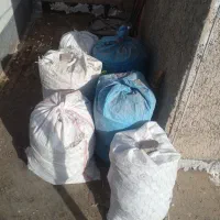 کود کبوتر....پیشوا|خدمات باغبانی و درختکاری|پیشوا, |دیوار