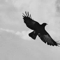 راهنمایی برای شراکت با ایده شروع کار