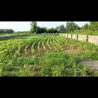 سوخته-کوه-360متر-با-پروانه-ساخت