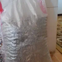 تخمه درجه یک