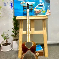 تار حرفه ای خوش صدا