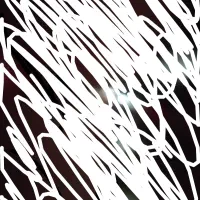 کارت ملی پیدا شده