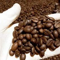 پخش قهوه/قهوه|عمده‌فروشی|تهران, صادقیه|دیوار