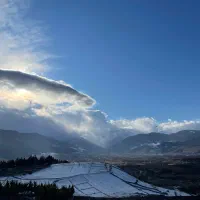 ملک-کلاردشت-تخصصی-کردیچال-اسپندکلا-والت-کلنو