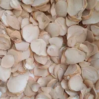 موسیر درجه یک و دو همدان|خوردنی و آشامیدنی|قم, باغ شریفی|دیوار