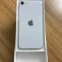 iPhone SE 2020|موبایل|مشهد, رضاشهر|دیوار
