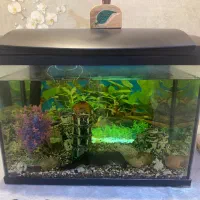 آکواریم هلنا