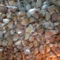 سیر شاهین دژ