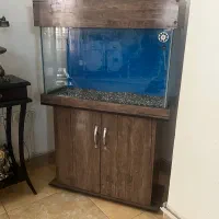 آکواریوم|ماهی|کرج, شهرک خاتم النبیا|دیوار