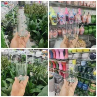 گلدان شیشه رز گلدان قلمه شیشه بامبو شیشه استوانه