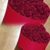 انواع باکس|گل مصنوعی|کوهدشت, |دیوار