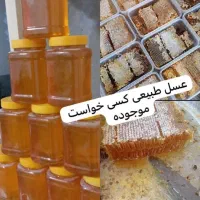 عسل ۱۰ حلب