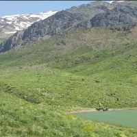 کوهگل سی سخت