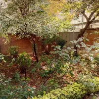 مستغلات کلنگی ۲۲۰ متر دولت