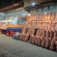 عرضه مستقیم هویج فتحی
