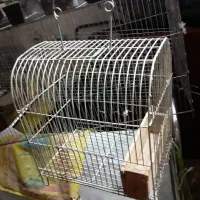تعدادی قفس جای سهره و قناری|لوازم جانبی حیوانات|بروجرد, |دیوار