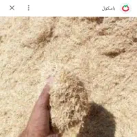 کاه گندم ب فروش میرسه