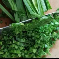 انواع سبزیجات تازه