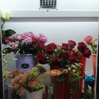 گل رز در رنگ های مختلف|گل و گیاه طبیعی|سبزوار, قصبه اب یمین|دیوار