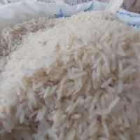فروش ویژه برنج