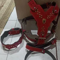 قلاده کتفی چرمی سگ،قلاده گردنی