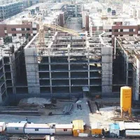 گل نرگس فاز دو