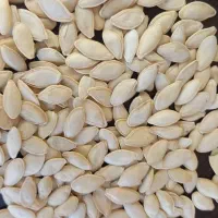 خرید و فروش تخمه افتاب و کدو|خوردنی و آشامیدنی|محمدبار, |دیوار