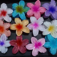 کلیپس پلومریا تک و عمده