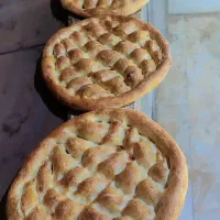 شاطر بربری هستم