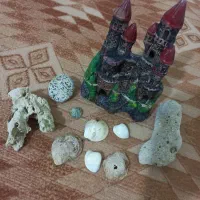 وسایل ماهی آکواریومی|ماهی|گرمدره, |دیوار