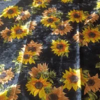 پارچه مخمل|لباس|اهواز, کوی طلاب|دیوار