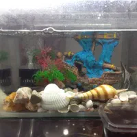 آکواریوم با تمام وسایل