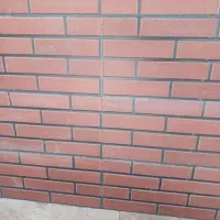 اجرا کاشی وسرامیک بصورت چسبی و ملاتی|خدمات پیشه و مهارت|جیرفت, |دیوار