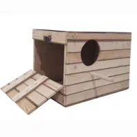 لانه عروس هلندی